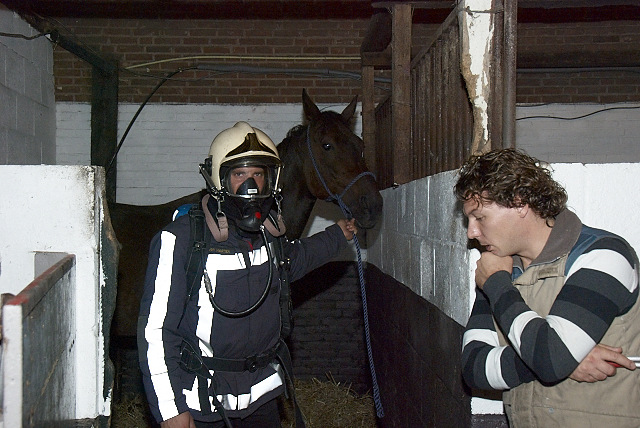 2011/201a/GB 20110914 041 Oefening grote huisdieren.jpg